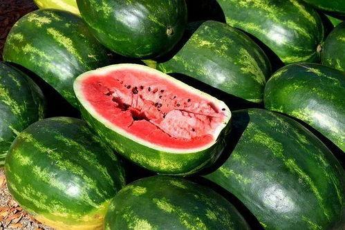 娱乐吃瓜视频模板大全,吃瓜视频模板大全，带你领略幕后花絮与精彩瞬间
